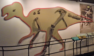 hadrosaurus_modern